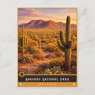 Saguaro National Park Arizona Oude Ansichtkaart Briefkaart