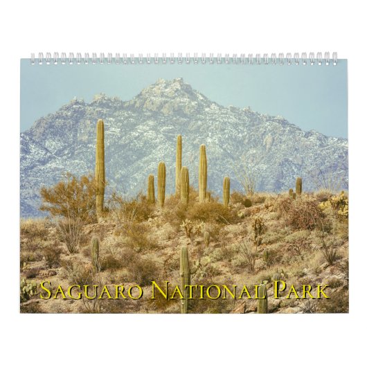 Saguaro National Park Landscape Kalender (Hoes)