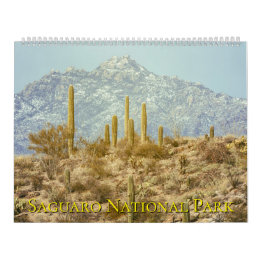 Saguaro National Park Landschap Kalender