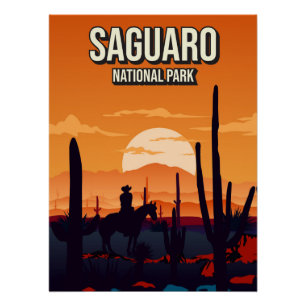 Saguaro National Park Sunset Nature Landscape Trav Perfect Poster