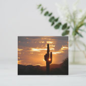 Saguaro Rays Briefkaart (Staand voorkant)