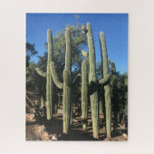Saguaro Stand Puzzle (Vertical)