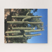 Saguaro Stand Puzzle Legpuzzel (Horizontaal)