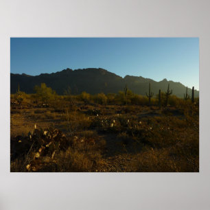 Saguaro Sunrise in het Nationaal Park Saguaro Poster