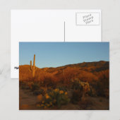 Saguaro Sunset I Arizona Briefkaart (Voorkant / Achterkant)