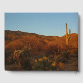 Saguaro Sunset I Arizona Gastenboek (Achterkant)