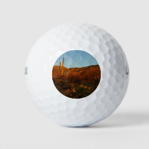 Saguaro Sunset I Arizona Golfballen
