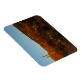 Saguaro Sunset I Arizona Magneet (Rechterzijde)