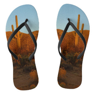 Saguaro Sunset I Arizona Teenslippers
