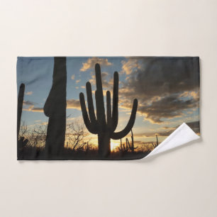 Saguaro Sunset II Arizona