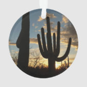 Saguaro Sunset II Arizona (dos)