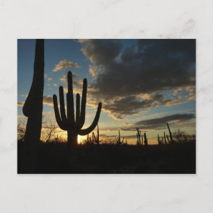 Saguaro Sunset II Arizona Briefkaart