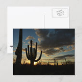 Saguaro Sunset II Arizona Briefkaart (Voorkant / Achterkant)