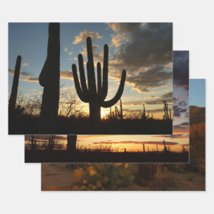 Saguaro Sunset II Arizona Inpakpapier Vel