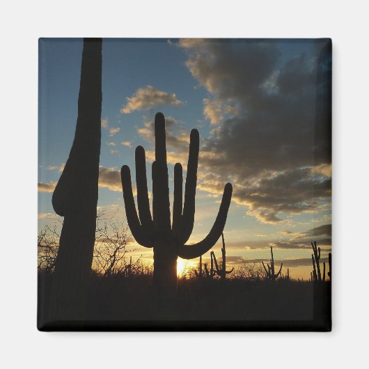 Saguaro Sunset II Arizona Magneet (Voorkant)