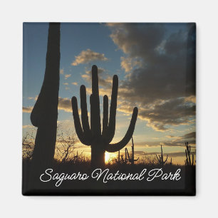 Saguaro Sunset II Arizona Magneet