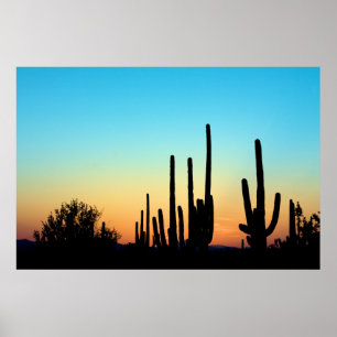 Saguaro Sunset Poster