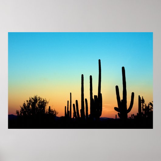 Saguaro Sunset Poster (Voorkant)