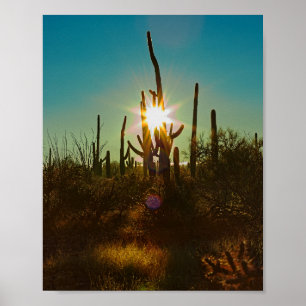 Saguaro Sunstar Poster