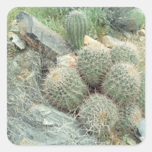 Saguaro Swirl Desert Cactus autocollant personnali