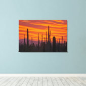 Saguaro, zonsondergang, Nationaal Park Saguaro Canvas Afdruk (Insitu (Houten vloer))