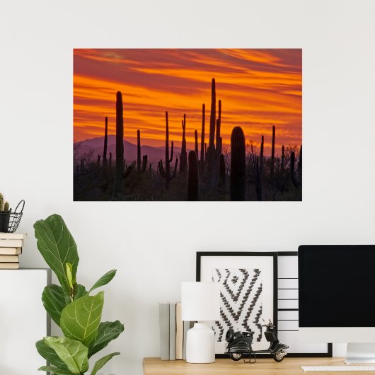 Saguaro, zonsondergang, Nationaal Park Saguaro Poster (Thuiskantoor)