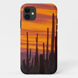 Saguaro, zonsondergang, Saguaro National Park iPhone 11 Hoesje