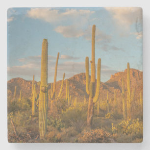 Saguarocactus bij zonsondergang, Arizona Stenen Onderzetter