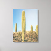 Saguaros Canvas Afdruk (Voorkant)