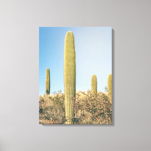 Saguaros Canvas Afdruk (Voorkant)