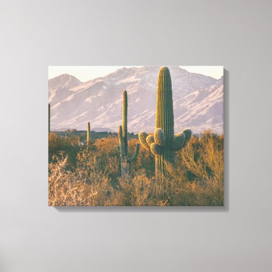 Saguaros Canvas Afdruk (Voorkant)