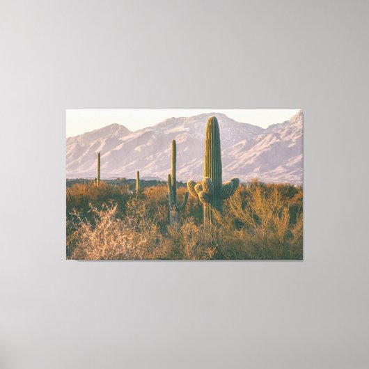 Saguaros Canvas Afdruk (Voorkant)