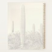 Saguaros in Desert (Dos)