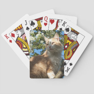 Sahara-kat in een boomspelkaart speelkaarten