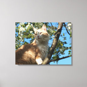 Sahara-kat in een schilderachtig schilderdoek canvas afdruk