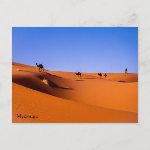 Sahara Merzouga in het vroege ochtend Briefkaart
