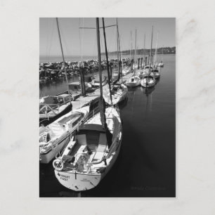 Sail Boats Black en White Briefkaart