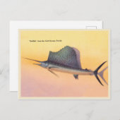  Sailfish afbeelding, Golfstroom Florida Briefkaart (Voorkant / Achterkant)