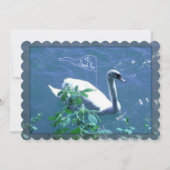 Sailing Zwan Hartelijk dank Kaart (Voorkant)