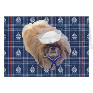 Sailor Pekingese