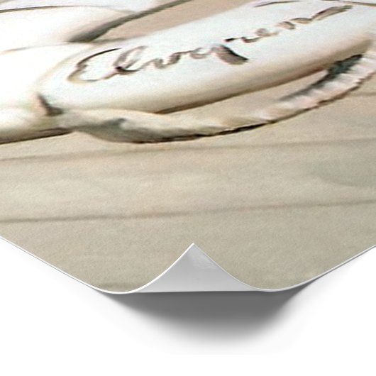 Sailor pin-up poster (Hoek)