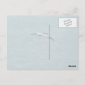 Sailor's Knot Briefkaart (Achterkant)