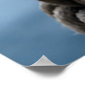 Sailor's Knot Poster (Hoek)