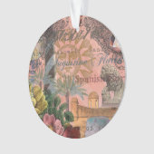 saint - augustine florida trekt antiek kunst ornament (voorkant)