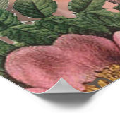 saint - augustine florida trekt antiek kunst poster (Hoek)