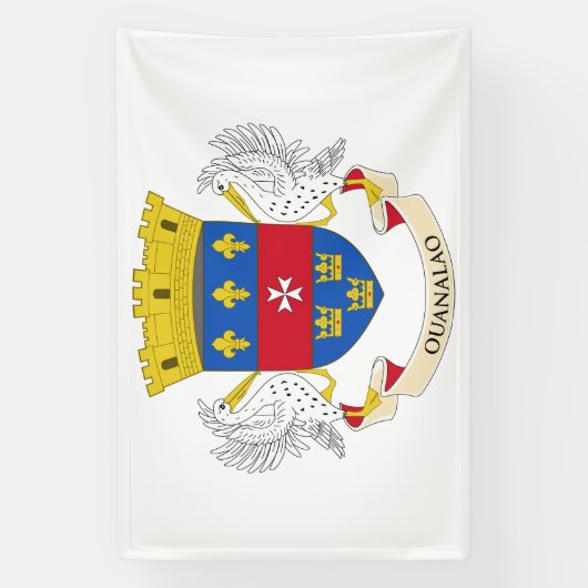 Saint Barthélemy-vlag Spandoek (Verticaal)