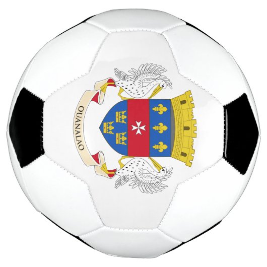 Saint Barthélemy-vlag Voetbal (Gedraaid)