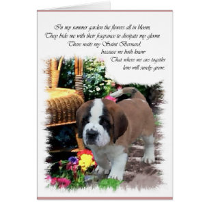 Saint Bernard Art Gifts