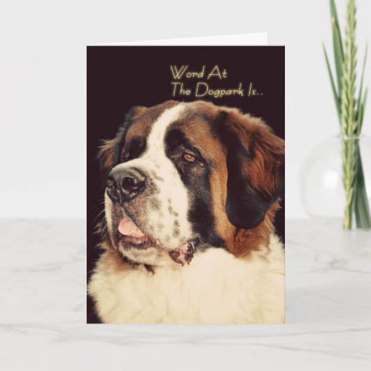 Saint Bernard Birthday Card Kaart (Voorkant)