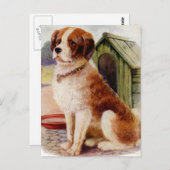 Saint Bernard Briefkaart (Voorkant / Achterkant)